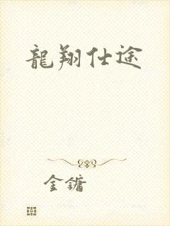 龙翔仕途