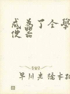 成为了全学校坐便器