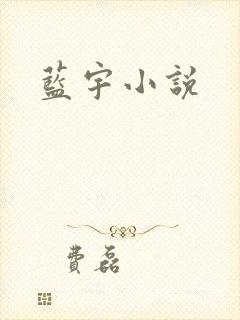 蓝宇小说