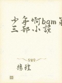 少年啊bgm第三部小说