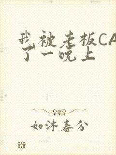 我被老板CAO了一晚上