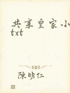 共享皇家小公主txt