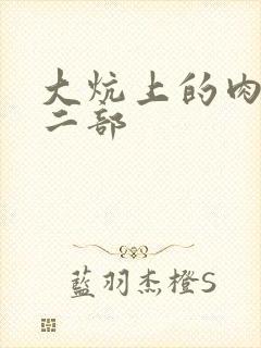 大炕上的肉伦第二部