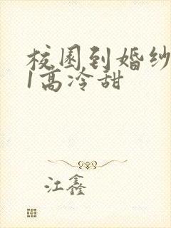 校园到婚纱1V1高冷甜