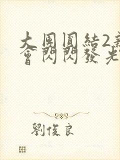 大团圆结2亲情会闪闪发光亲情会2