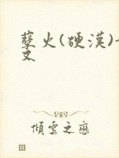 孽火(硬汉)今又