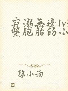 宠溺无边1v3双胞胎的小说