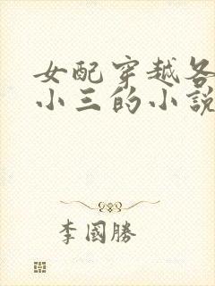 女配穿越各个做小三的小说