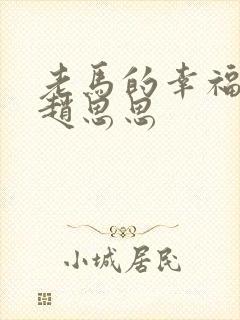 老马的幸福生活赵思思