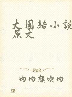 大团结小说阅读原文