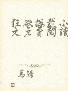 狂欲总裁小说全文免费阅读