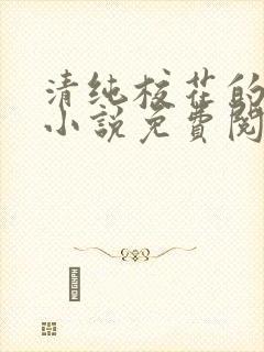 清纯校花的秘密小说免费阅读