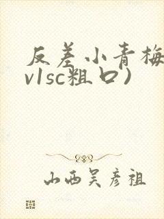 反差小青梅(1v1sc粗口)