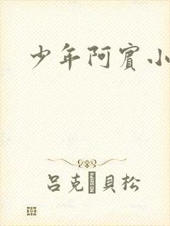少年阿宾小说