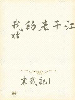 我的老千江湖txt
