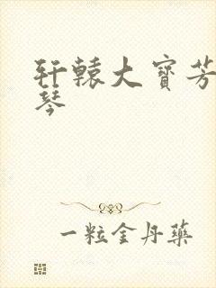 轩辕大宝芳菲雅琴