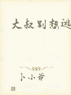 大叔别想逃
