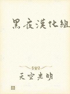 黑夜汉化组