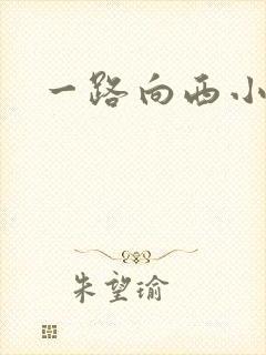 一路向西小说