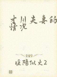 才川夫妻的恋爱情况