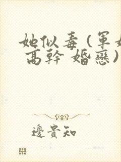 她似毒 (军婚 高干 婚恋)完结