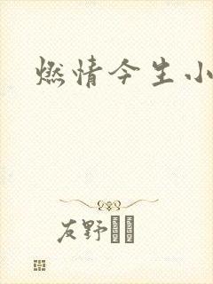 燃情今生小说