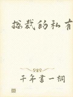 总裁的私有宝贝