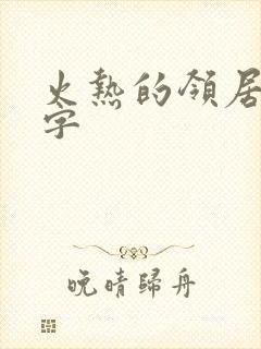 火热的领居中文字
