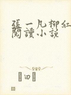 张一凡柳红免费阅读小说
