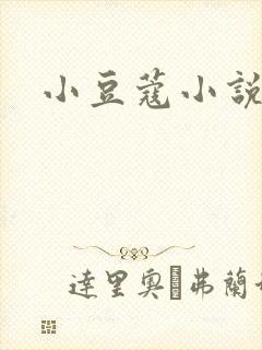 小豆蔻小说