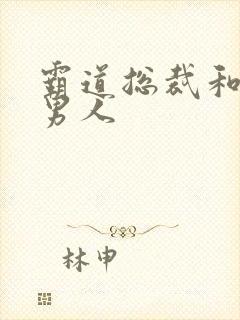 霸道总裁和他的男人