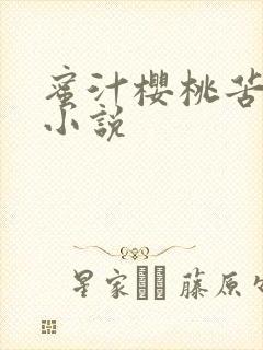 蜜汁樱桃苦咖啡小说