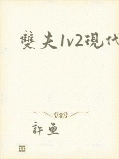 双夫1v2现代