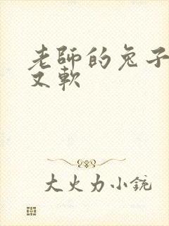 老师的兔子又大又软