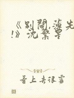 《别闹,薄先生!》沈繁星