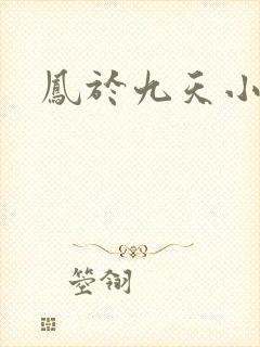 凤于九天小说