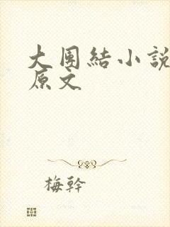 大团结小说阅读原文