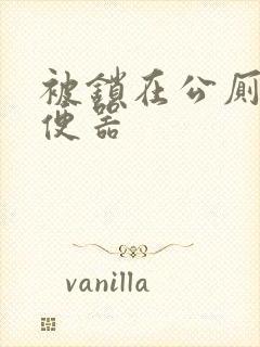 被锁在公厕当坐便器