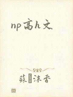 np高h文