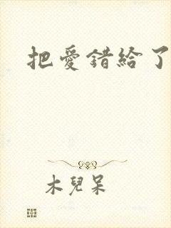 把爱错给了你