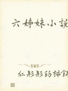 六姊妹小说