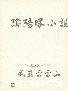 阴阳眼小说