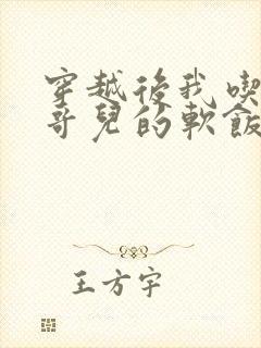 穿越后我吃到了哥儿的软饭炉山灰