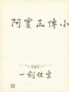 阿宾正传小说