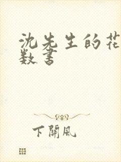 沈先生的花式调数书