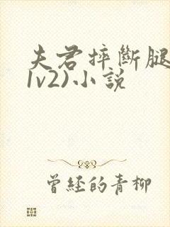 夫君摔断腿后(1v2)小说