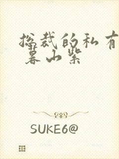 总裁的私有宝贝 暮山紫