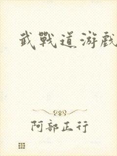武战道游戏