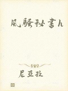 风骚秘书h