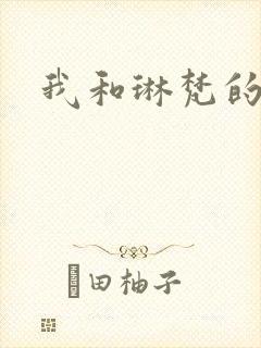 我和琳梵的故事